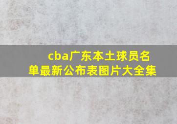 cba广东本土球员名单最新公布表图片大全集