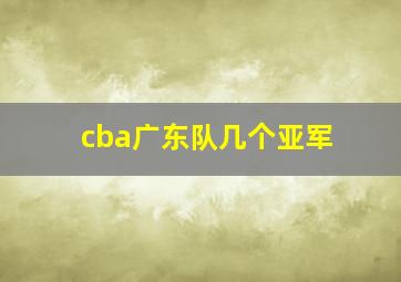 cba广东队几个亚军