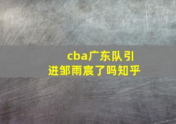 cba广东队引进邹雨宸了吗知乎