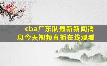 cba广东队最新新闻消息今天视频直播在线观看