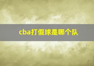 cba打假球是哪个队