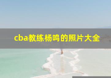 cba教练杨鸣的照片大全