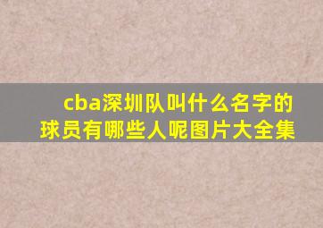 cba深圳队叫什么名字的球员有哪些人呢图片大全集