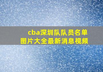 cba深圳队队员名单图片大全最新消息视频