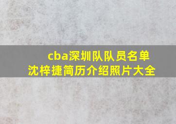 cba深圳队队员名单沈梓捷简历介绍照片大全