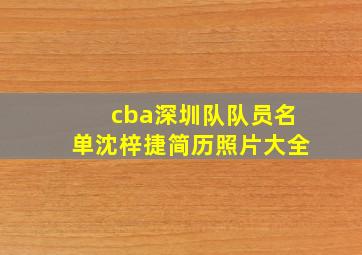 cba深圳队队员名单沈梓捷简历照片大全