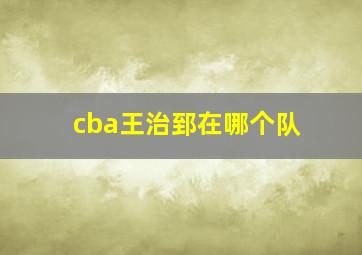 cba王治郅在哪个队