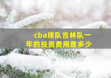 cba球队吉林队一年的投资费用是多少