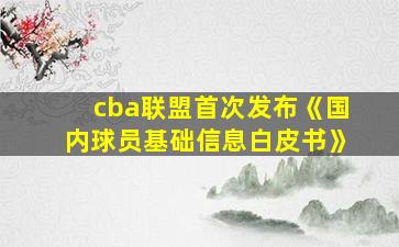 cba联盟首次发布《国内球员基础信息白皮书》