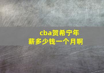 cba贺希宁年薪多少钱一个月啊