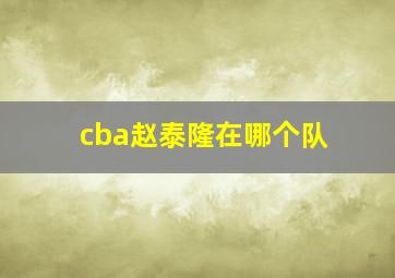 cba赵泰隆在哪个队