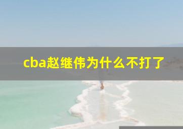 cba赵继伟为什么不打了