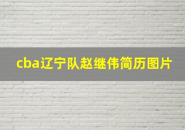 cba辽宁队赵继伟简历图片