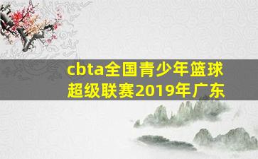 cbta全国青少年篮球超级联赛2019年广东