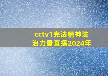 cctv1宪法精神法治力量直播2024年