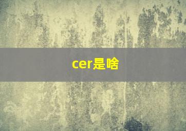 cer是啥