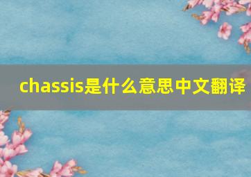 chassis是什么意思中文翻译