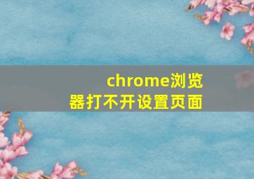 chrome浏览器打不开设置页面