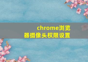 chrome浏览器摄像头权限设置