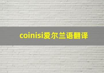 coinisi爱尔兰语翻译