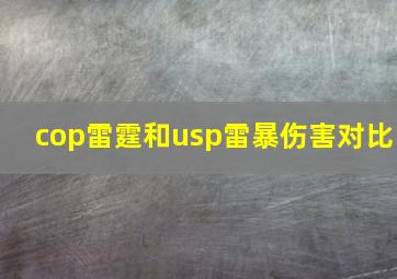 cop雷霆和usp雷暴伤害对比