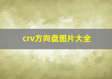 crv方向盘图片大全