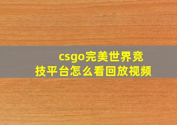 csgo完美世界竞技平台怎么看回放视频