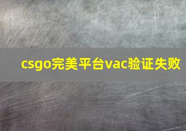 csgo完美平台vac验证失败