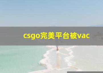 csgo完美平台被vac