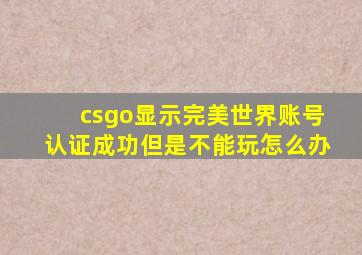 csgo显示完美世界账号认证成功但是不能玩怎么办