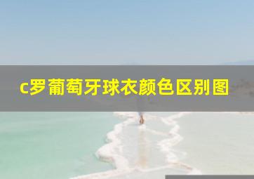 c罗葡萄牙球衣颜色区别图