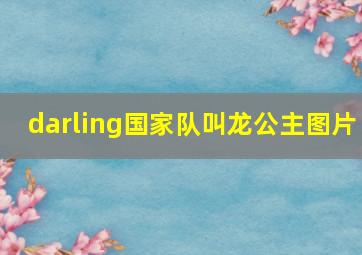 darling国家队叫龙公主图片