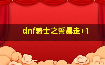 dnf骑士之誓暴走+1