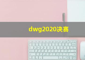 dwg2020决赛