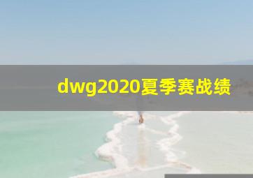 dwg2020夏季赛战绩