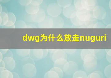 dwg为什么放走nuguri