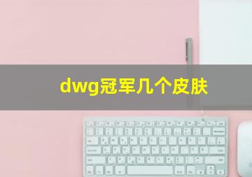 dwg冠军几个皮肤