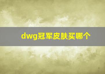 dwg冠军皮肤买哪个