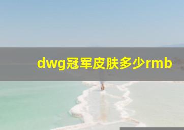 dwg冠军皮肤多少rmb