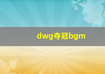 dwg夺冠bgm