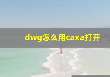 dwg怎么用caxa打开