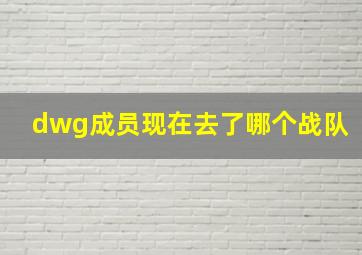 dwg成员现在去了哪个战队