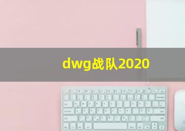 dwg战队2020