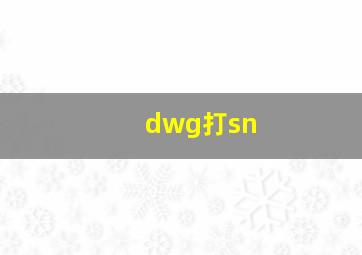 dwg打sn