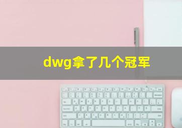 dwg拿了几个冠军