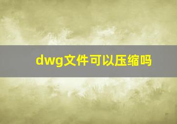 dwg文件可以压缩吗