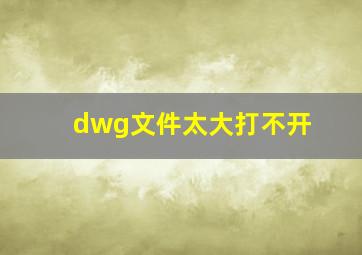 dwg文件太大打不开