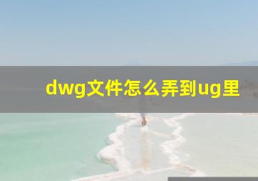 dwg文件怎么弄到ug里