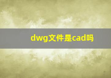 dwg文件是cad吗