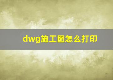 dwg施工图怎么打印